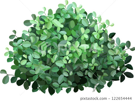 Lush green leaves forming a dense, textured bush, creating an ideal backdrop for nature themed designs and backgrounds, exuding a fresh and vibrant aesthetic for any project Lush green leaves forming a dense, textured bush, creating an ideal backdrop for nature themed designs and backgrounds, exuding a fresh and vibrant aesthetic for any project 122654444