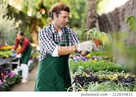 Man florist arranging flowers in pots at flower shop 122654831