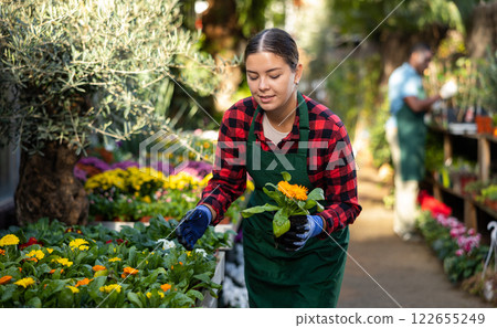 Salesgirl checking potted blooming calendula plants in gardening store 122655249