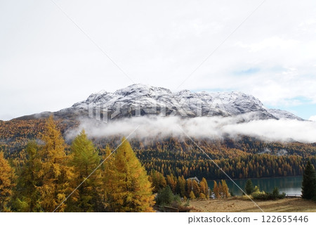 Autumn leaves in St. Moritz, Switzerland Autumn leaves in St. Moritz, Switzerland 122655446