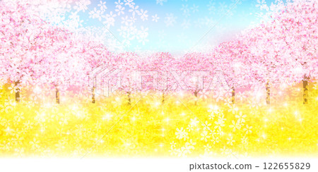Cherry blossoms spring rape blossoms background 122655829