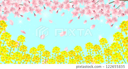 櫻花春天油菜花背景 122655835