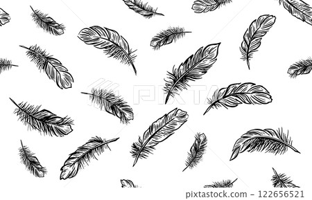 feather, vector, sketch 122656521