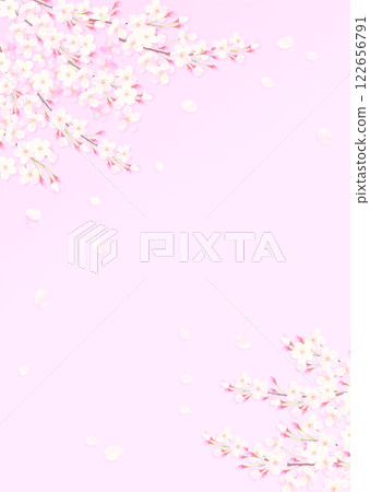 Background illustration with cherry blossoms in full bloom Background illustration with cherry blossoms in full bloom 122656791