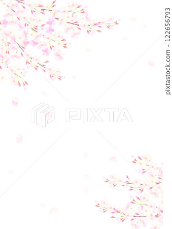 櫻花盛開的背景插圖 櫻花盛開的背景插圖 122656793