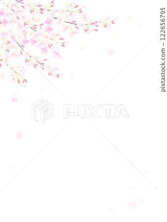 櫻花盛開的背景插圖 122656795