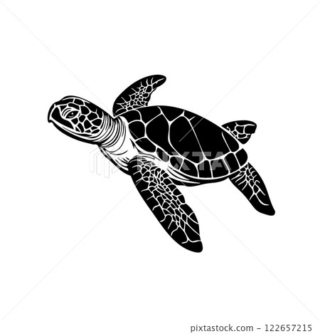Vector of sea turtle silhouette on white... - Stock Illustration ...