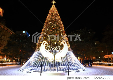 Sapporo White Illumination, Hokkaido 122657299