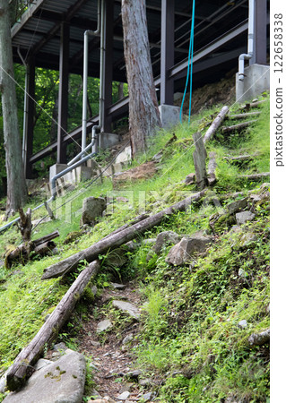 A beautiful green trail 122658338