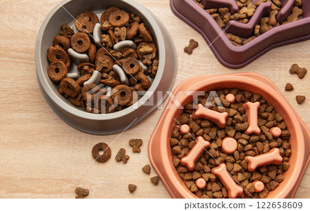 Slow feeder dog bowls with various dry food on wooden table 122658609