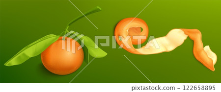 Orange whole fruit and curled spiral peel Orange whole fruit and curled spiral peel 122658895