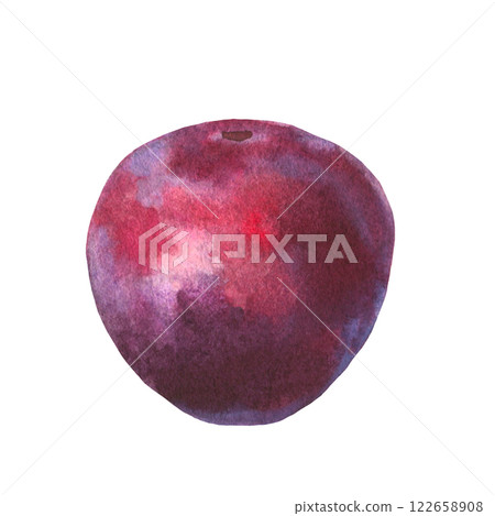 Hand drawn watercolor illustration of fruit plum isolated on white background. Watercolor sketch. 122658908
