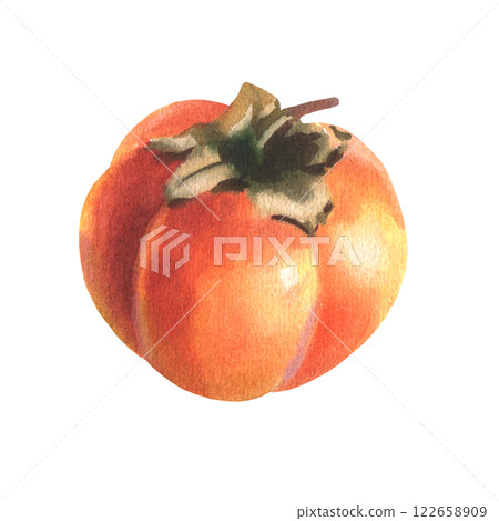 Watercolor illustration of orange color persimmon fruit, diospyros, kaki, sharon, gold apple. Hand drawn botanical illustration isolated on white background. Healthy diet. Watercolor illustration of orange color persimmon fruit, diospyros, kaki, sharon, gold apple. Hand drawn botanical illustration isolated on white background. Healthy diet. 122658909