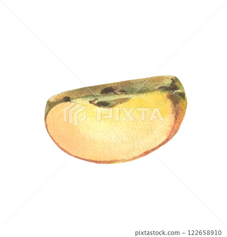 Watercolor red apple. Realistic fruits, half, slice, botanical watercolor illustrations. Artwork Sweet food or juice for label design. 122658910