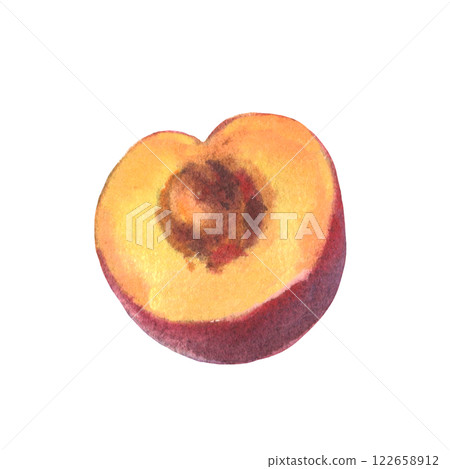 Hand drawn watercolor illustration of fruit plum isolated on white background. Watercolor sketch. 122658912
