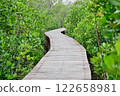 Wooden bridge in a mangrove forest to explore the nature of Thailand. Nature trails in mangrove forests 122658981