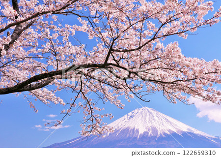 Mt. Fuji and cherry blossoms in spring 122659310