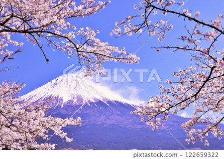 Mt. Fuji and cherry blossoms in spring 122659322