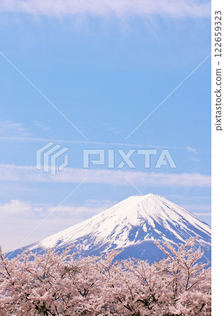 Mt. Fuji and cherry blossoms in spring 122659323