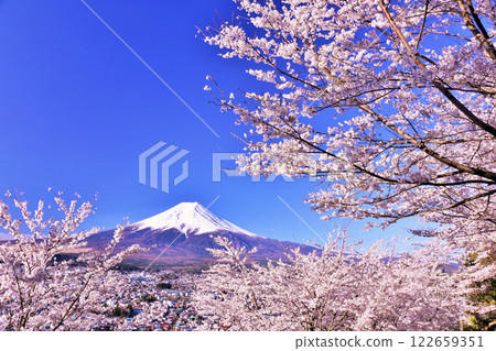Mt. Fuji and cherry blossoms in spring Mt. Fuji and cherry blossoms in spring 122659351