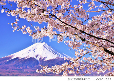 富士山和春天的櫻花 富士山和春天的櫻花 122659353
