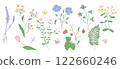 Collection of hand drawn wildflowers, butterflies. Delicate floral illustration with pencil texture in pastel colors. Decoration for spring, summer designs invitations, patterns, prints, greeting card 122660246