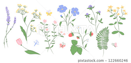 Collection of hand drawn wildflowers, butterflies. Delicate floral illustration with pencil texture in pastel colors. Decoration for spring, summer designs invitations, patterns, prints, greeting card 122660246