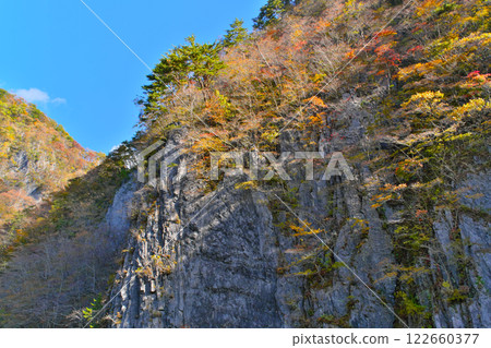 岩手縣久慈川溪流懸崖和秋葉 122660377