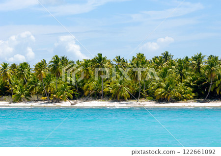 Island with beautiful beach 122661092