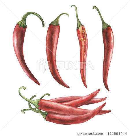 Set of whole and cut red hot chili peppers. Watercolor illustration hand drawn in botanical style. For design of packaging of products or cosmetics, logos, typography, menus, restaurants, textiles Set of whole and cut red hot chili peppers. Watercolor illustration hand drawn in botanical style. For design of packaging of products or cosmetics, logos, typography, menus, restaurants, textiles 122661444