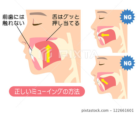 如何正確喵喵叫:正確且不正確的舌頭位置 如何正確喵喵叫:正確且不正確的舌頭位置 122661601