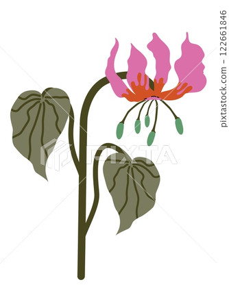 Stylized tropical Flame Lily pink with orange. Exotic hand-drawn flower Gloriosa Superba. Vector illustration isolated for fashion prints, wallpapers, decorative elements Stylized tropical Flame Lily pink with orange. Exotic hand-drawn flower Gloriosa Superba. Vector illustration isolated for fashion prints, wallpapers, decorative elements 122661846
