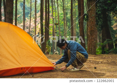 solo traveler in nature concept with asian man camping and see pink cherry blossom tree and pine tree with sunrise in springtime season solo traveler in nature concept with asian man camping and see pink cherry blossom tree and pine tree with sunrise in springtime season 122662001