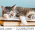 Cat sleeping on a stack of books 122662595