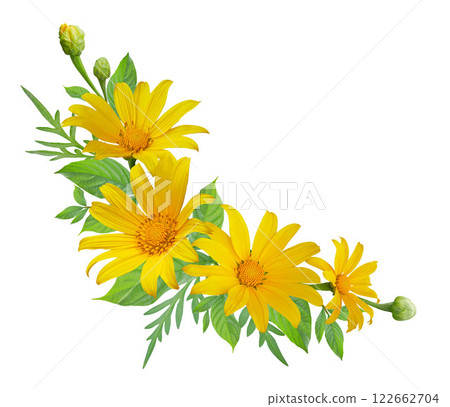 Mexican sunflower bouquet floral border, wreath, frame on white background. Mexican sunflower bouquet floral border, wreath, frame on white background. 122662704