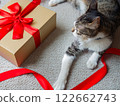 Gift box with cat and red ribbon 122662743