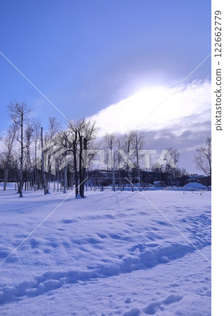 <Hokkaido> Asahiyama Zoo in the snow, standing trees <Hokkaido> Asahiyama Zoo in the snow, standing trees 122662779