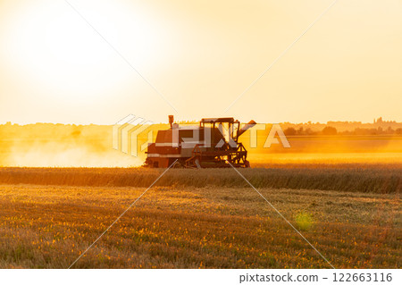 Combine harvester to gather wheat in a field during a summer sunset. Combine harvester in action. Harvesting 122663116