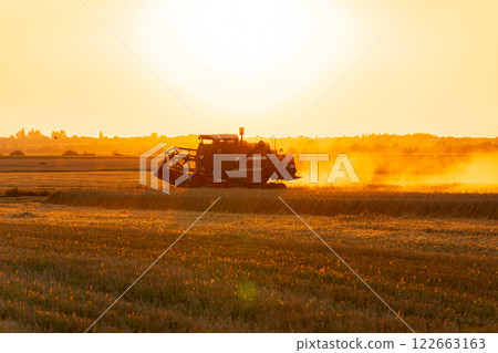 Combine harvester on the field at sunset. Combine harvester in wheat field. Combine harvester harvests ripe wheat. Agriculture concept Combine harvester on the field at sunset. Combine harvester in wheat field. Combine harvester harvests ripe wheat. Agriculture concept 122663163