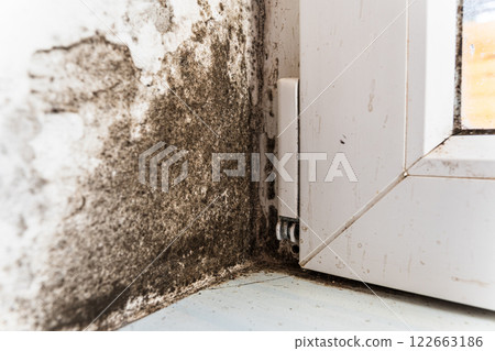 The wall of the house is affected by fungus and mold. The fungus attacks the wall and the plastic window. The white wall is attacked by black fungus and mold The wall of the house is affected by fungus and mold. The fungus attacks the wall and the plastic window. The white wall is attacked by black fungus and mold 122663186