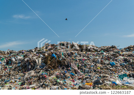 A large landfill. Landfill with municipal household waste. A seagull flies over a garbage dump A large landfill. Landfill with municipal household waste. A seagull flies over a garbage dump 122663187