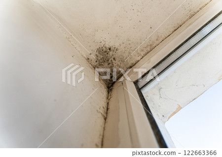 The plastic window is attacked by fungus. Fungus on the wall near the window. Fungus spoils the walls of the house. The problem of dampness in the house The plastic window is attacked by fungus. Fungus on the wall near the window. Fungus spoils the walls of the house. The problem of dampness in the house 122663366