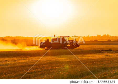 Agricultural harvester harvesting in the field at sunset. Harvesting with agricultural machinery. Agricultural landscape. Rural landscape 122663385