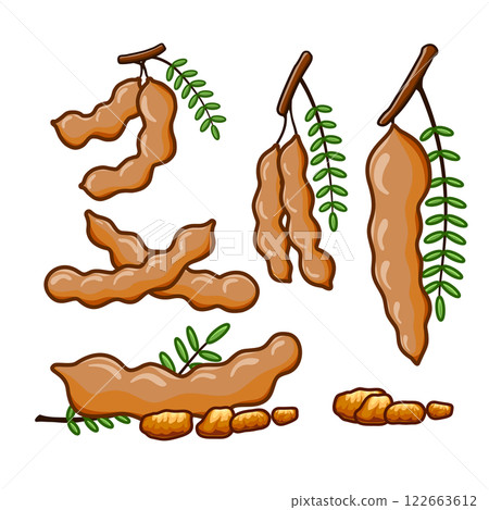 Several tamarind set in different positions, along with some cut into various pieces. 122663612