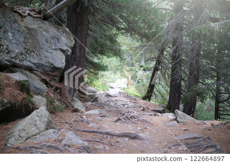 A path through a forest with a large rock in the background 122664897