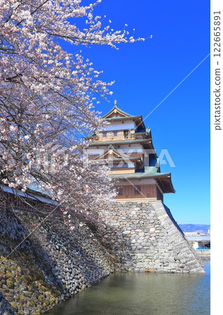 【長野縣】晴天的高島城與盛開的櫻花 122665891