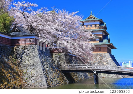 [Nagano Prefecture] Takashima Castle on a clear day and cherry blossoms in full bloom 122665893