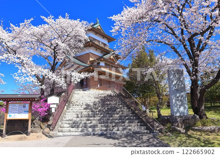 【長野縣】晴天的高島城與盛開的櫻花 【長野縣】晴天的高島城與盛開的櫻花 122665902