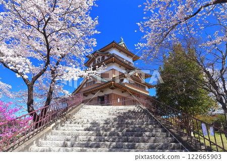 [Nagano Prefecture] Takashima Castle on a clear day and cherry blossoms in full bloom 122665903