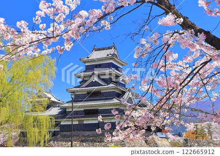 [Nagano Prefecture] Matsumoto Castle in full bloom with the cherry blossoms (Ome Keep and Inui Small Keep) 122665912